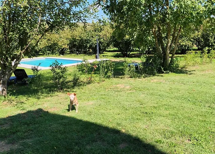 Miravigne House - Con Cucina Bed and Breakfast Castagnole delle Lanze
